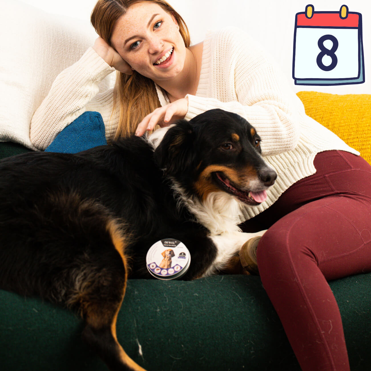 Why DEWEL Is One of the Best Flea and Tick Prevention Options for Dogs? Why DEWEL Is One of the Best Flea and Tick Prevention Options for Dogs?
